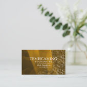 Buchhaltungs-Visitenkarte-Goldweiße Dollar-Zeichen Visitenkarte (Stehend Vorderseite)