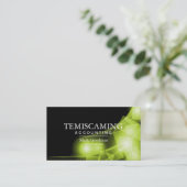 Buchhaltungs-Visitenkarte-- schwarze und grüne Visitenkarte (Stehend Vorderseite)