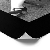 Buchhandlung in Westjordanland Poster (Ecke)