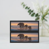 Buchmarkierungen für Polarbären Postkarte (Stehend Vorderseite)