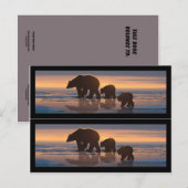 Buchmarkierungen für Polarbären Postkarte (Vorne/Hinten)
