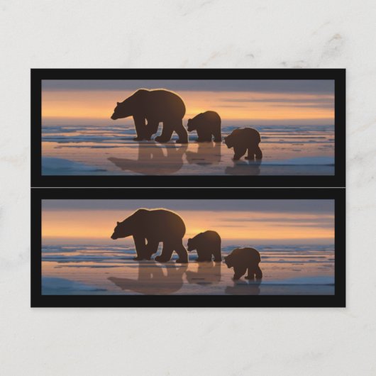 Buchmarkierungen für Polarbären Postkarte (Vorderseite)