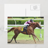 Buchprüfung Postkarte (Vorne/Hinten)