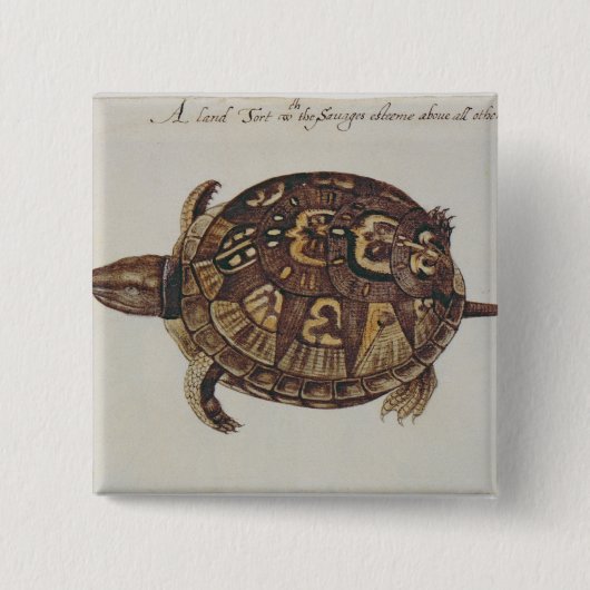 Buchsbaum-Schildkröte Button (Vorderseite)