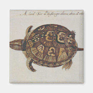 Buchsbaum-Schildkröte Magnet