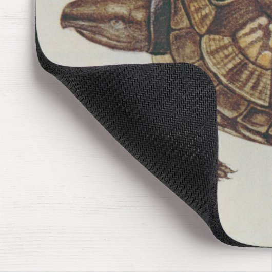 Buchsbaum-Schildkröte Mousepad (Ecke)