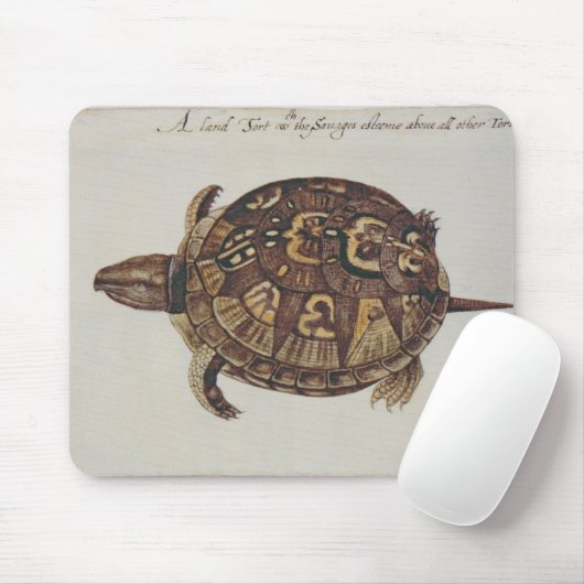 Buchsbaum-Schildkröte Mousepad (Mit Mouse)