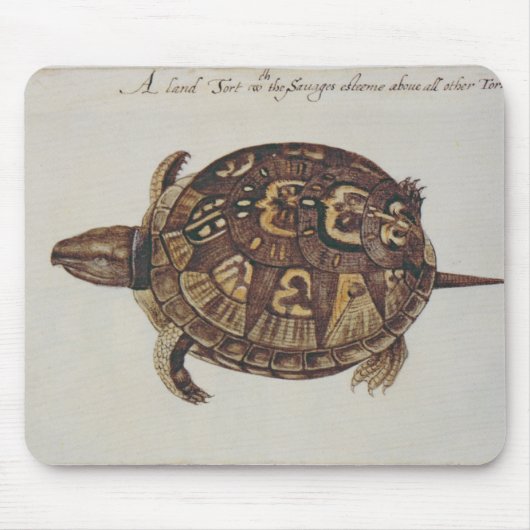 Buchsbaum-Schildkröte Mousepad (Vorne)