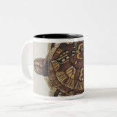 Buchsbaum-Schildkröte Zweifarbige Tasse (Vorderseite Links)