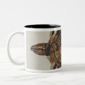 Buchsbaum-Schildkröte Zweifarbige Tasse (Links)