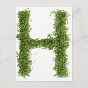 Buchstabe "H" in Kresse auf weißem Hintergrund, Postkarte
