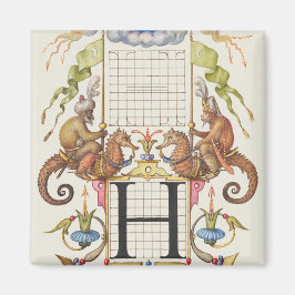 Buchstabe H von Mira Calligraphiae Monumenta Magnet