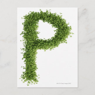 Buchstabe 'P' in Kresse auf weißem Hintergrund, Postkarte