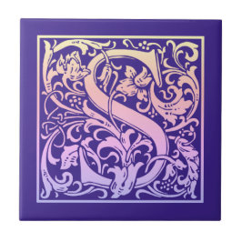 Buchstabe S Farbiger Vintager erster Buchstabe Fliese