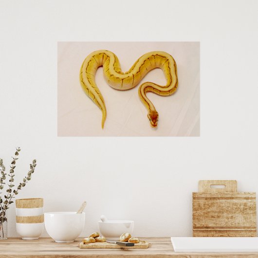 Buchstabe "S" Gelbe Ball Python Poster (Küche)