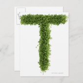 Buchstabe 'T' in Kresse auf weißem Hintergrund, Postkarte (Vorne/Hinten)