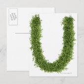 Buchstabe "U" in Kresse auf weißem Hintergrund, Postkarte (Vorne/Hinten)