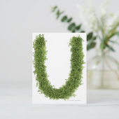 Buchstabe "U" in Kresse auf weißem Hintergrund, Postkarte (Stehend Vorderseite)