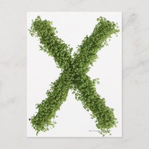 Buchstabe 'X' in der Farbe auf weißem Hintergrund, Postkarte