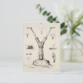 Buchstabe Y aus einem Buchstaben Postkarte (Stehend Vorderseite)