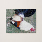 Bucht-Hahn Hawaiis Hanauma Puzzle (Horizontal)