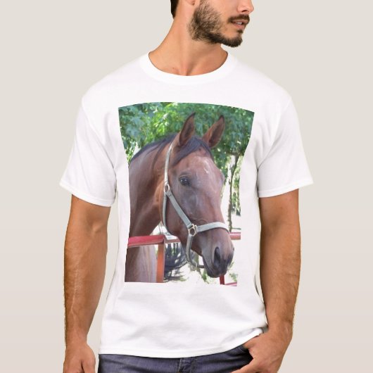 Bucht-Pferd T-Shirt (Vorderseite)