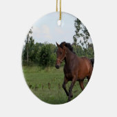 Bucht-Pferdeentwurfs-Verzierung Keramikornament (Rechts)