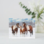 Bucht Pinto Paint Horns im Winter Schnee Postkarte (Stehend Vorderseite)