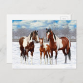 Bucht Pinto Paint Horns im Winter Schnee Postkarte (Vorne/Hinten)