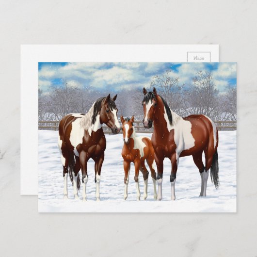 Bucht Pinto Paint Horns im Winter Schnee Postkarte (Vorne/Hinten)