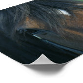 Bucht schließen poster (Ecke)