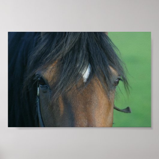 Bucht schließen poster (Vorne)