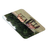 Bucht und Entenpferde Weiden in Weide Magnet (Rechte Seite)