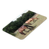 Bucht und Entenpferde Weiden in Weide Magnet (Linke Seite)