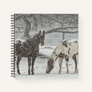 Bucht und Paint Horses in Fallschirm Notizblock