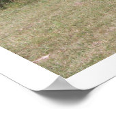 Bucht und Pferde Poster (Ecke)