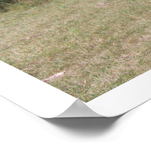 Bucht und Pferde Poster (Ecke)