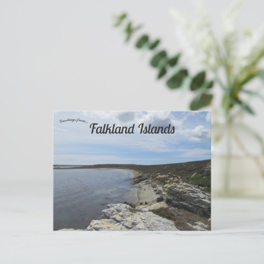 Bucht von den Ordinance Point Falkland Islands Postkarte (Stehend Vorderseite)