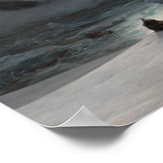 Bucht von Magdalena Poster (Ecke)