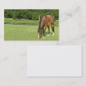 BuchtpferdeVisitenkarte Visitenkarte (Vorne/Hinten)