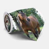 Buchtthoroughbred-Pferd Krawatte (Gerollt)