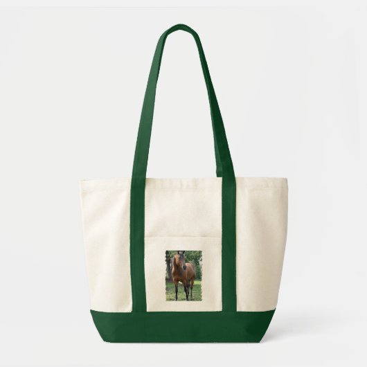 Buchtthoroughbred-PferdeLeinwand-Taschen-Tasche Tragetasche (Vorne)