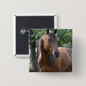 Buchtthoroughbred-Pferdequadrat-Button Button (Vorne & Hinten)