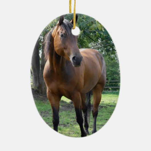 Buchtthoroughbred-Pferdeverzierung Keramikornament (Hinten)