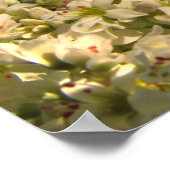 Buchweizenfeld Poster (Ecke)