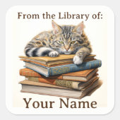 Buchzeichen mit Cat on Books Quadratischer Aufkleber (Vorderseite)