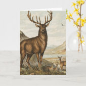 Buck and Deer Karte (Gelbe Blume)