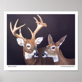 Buck and Doe Deer Poster