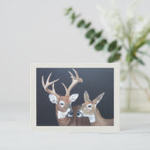 Buck and Doe Whitetail Postkarte (Stehend Vorderseite)