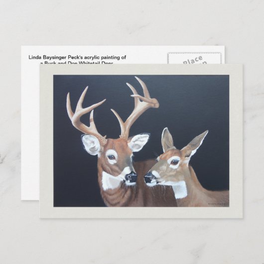 Buck and Doe Whitetail Postkarte (Vorne/Hinten)
